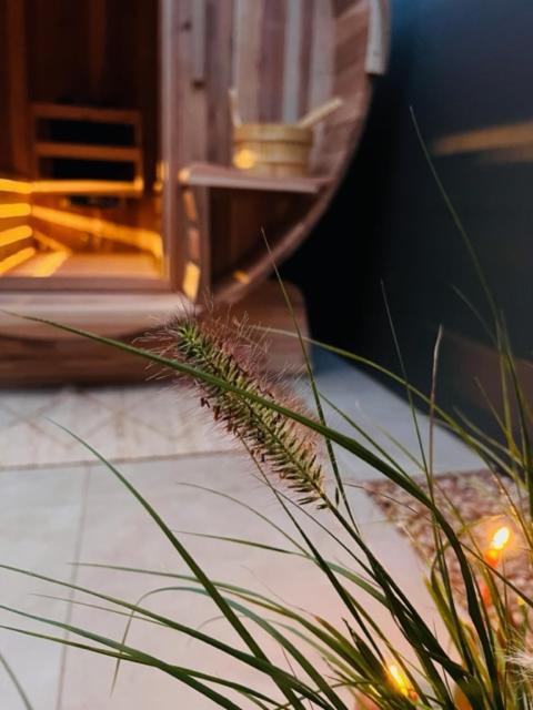Charley'S Wellness Suite 韦斯特卡佩勒 外观 照片